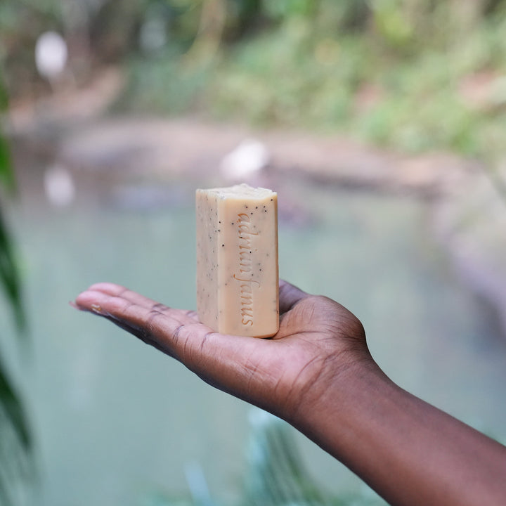 Lemon Poppy Seed Soap Bar